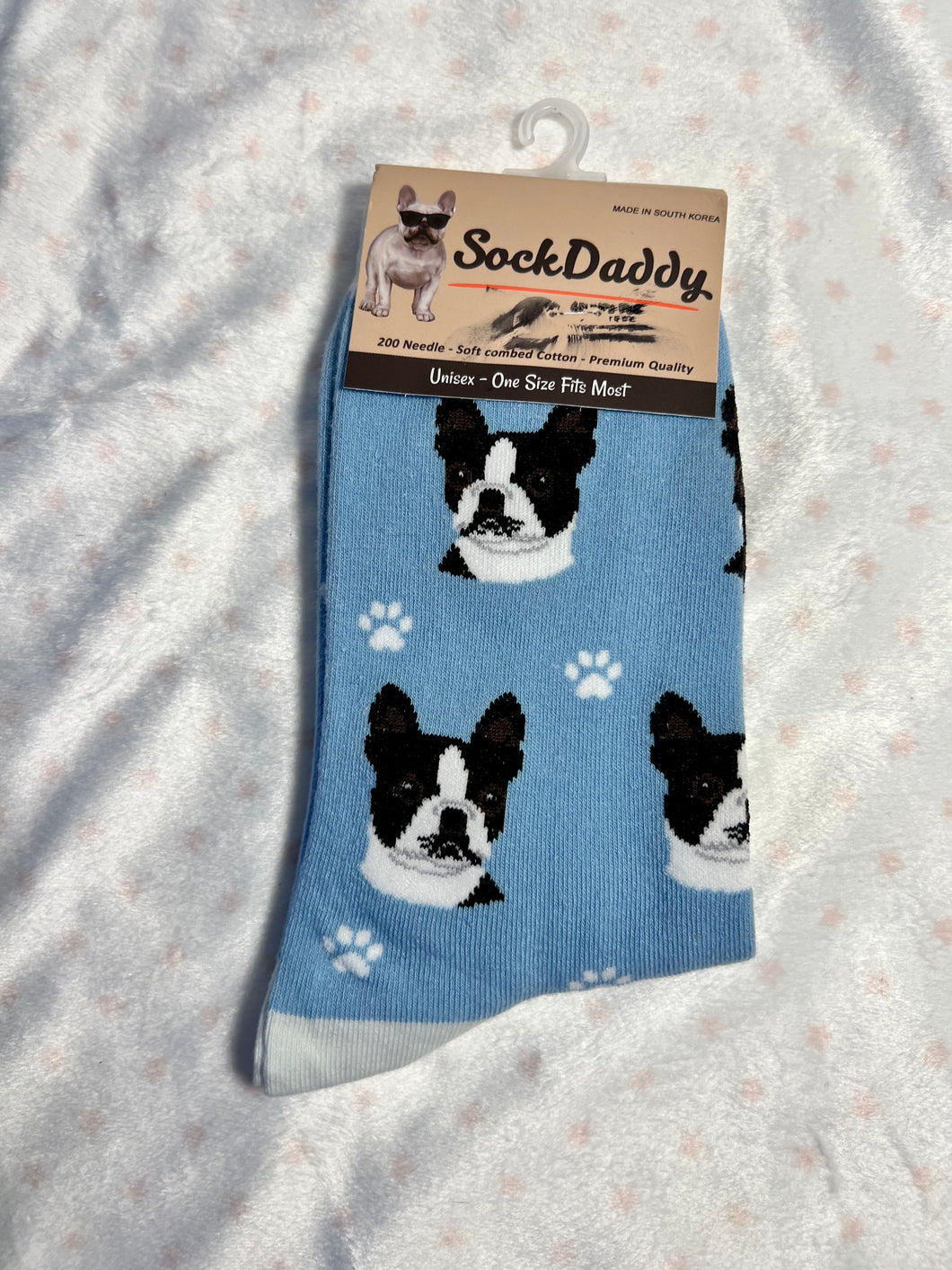 Socks - Boston Terriers