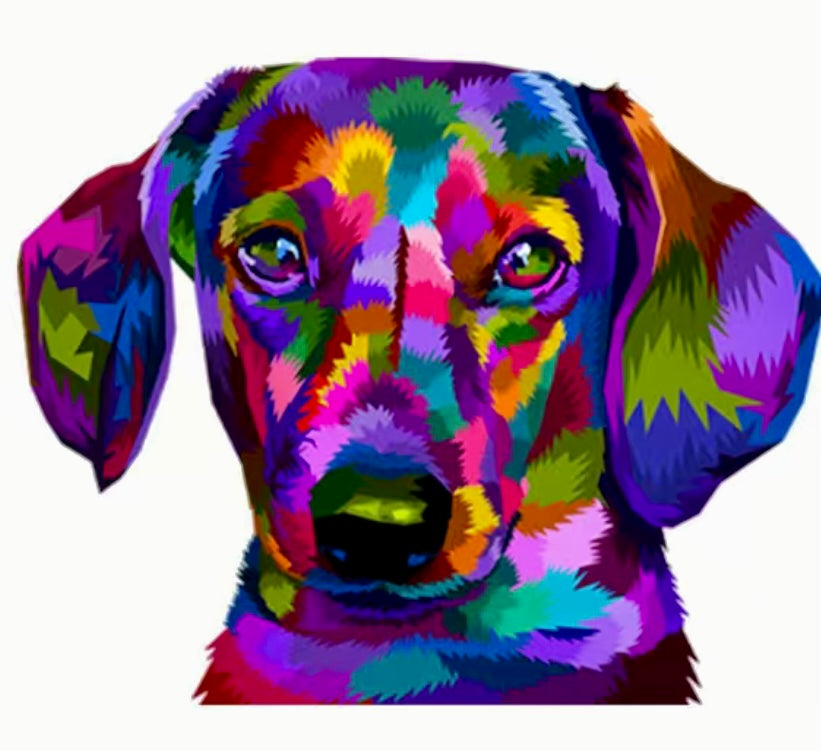 T - Shirt Dachshund