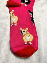 Load image into Gallery viewer, Socks - Corgi
