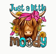 Load image into Gallery viewer, T - Shirt Just a Little Moody
