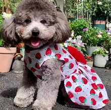 Load image into Gallery viewer, Dog - Dress
