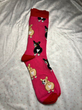 Load image into Gallery viewer, Socks - Corgi
