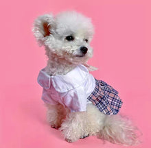 Load image into Gallery viewer, Dog - Dress
