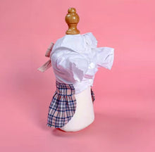 Load image into Gallery viewer, Dog - Dress
