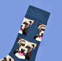 Load image into Gallery viewer, Socks - Pitbull
