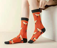 Load image into Gallery viewer, Socks - Horse 8
