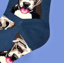 Load image into Gallery viewer, Socks - Pitbull

