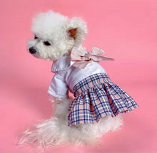 Load image into Gallery viewer, Dog - Dress
