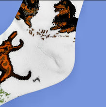 Load image into Gallery viewer, Socks - Dachshund
