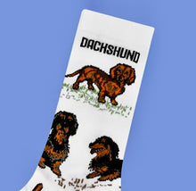 Load image into Gallery viewer, Socks - Dachshund
