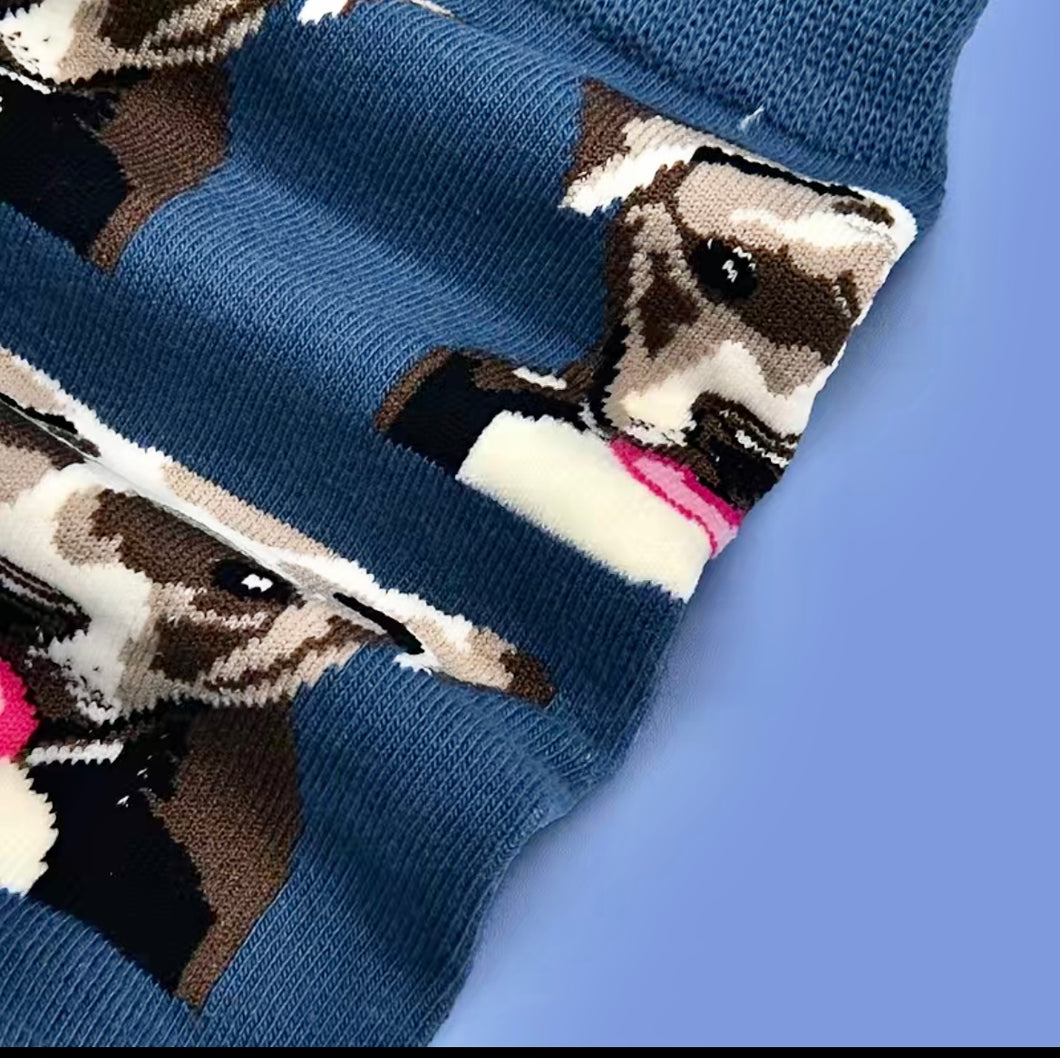 Socks - Pitbull