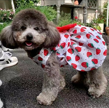 Load image into Gallery viewer, Dog - Dress
