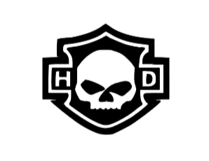 Window Decal