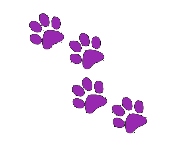 Window Decal