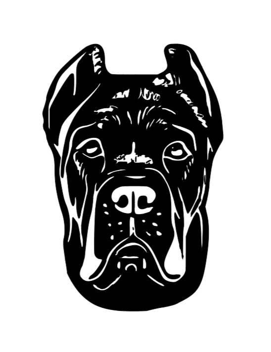 Window Decal